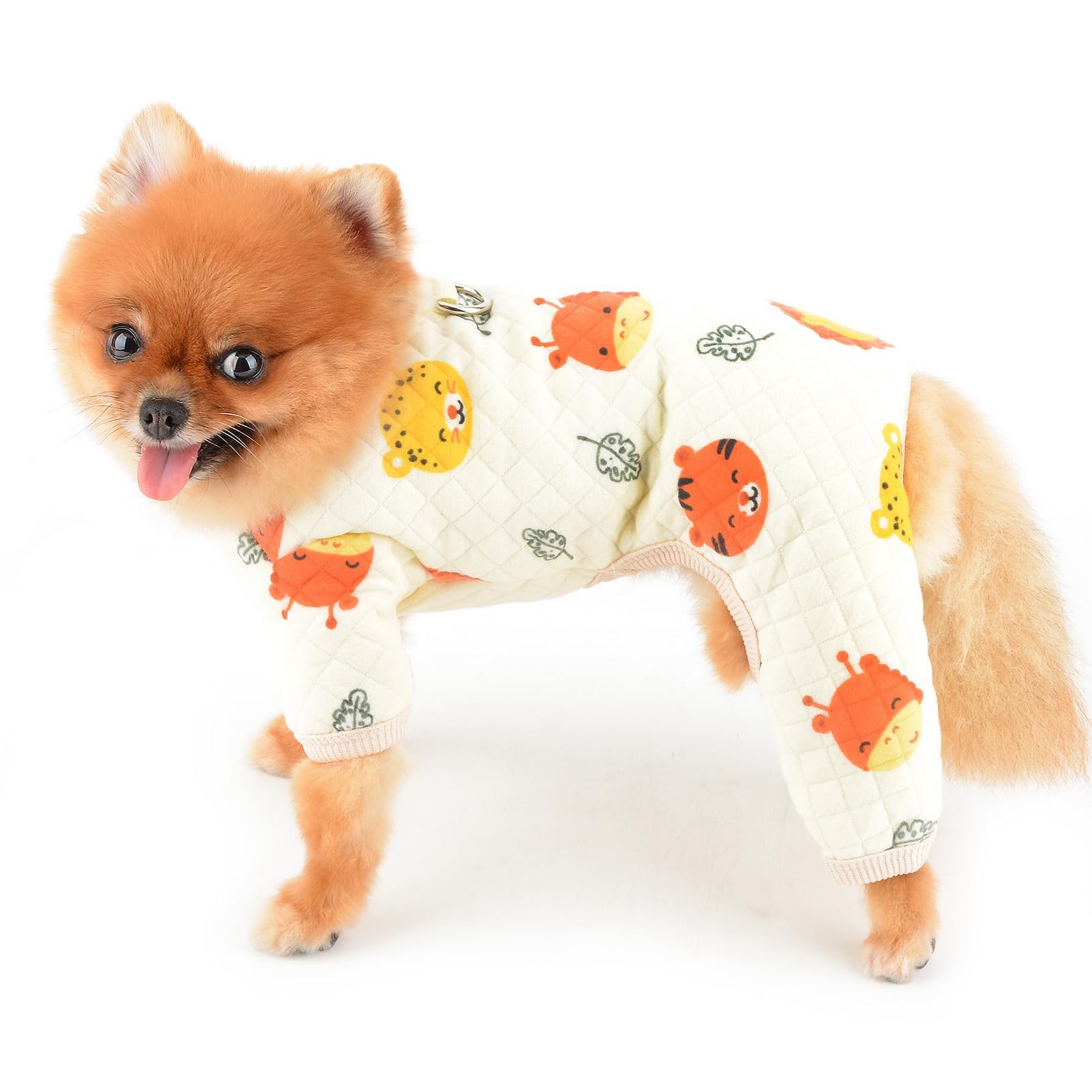 RUFFined Spotlight: Pepperjack the Pomeranian, image size:1603x1603