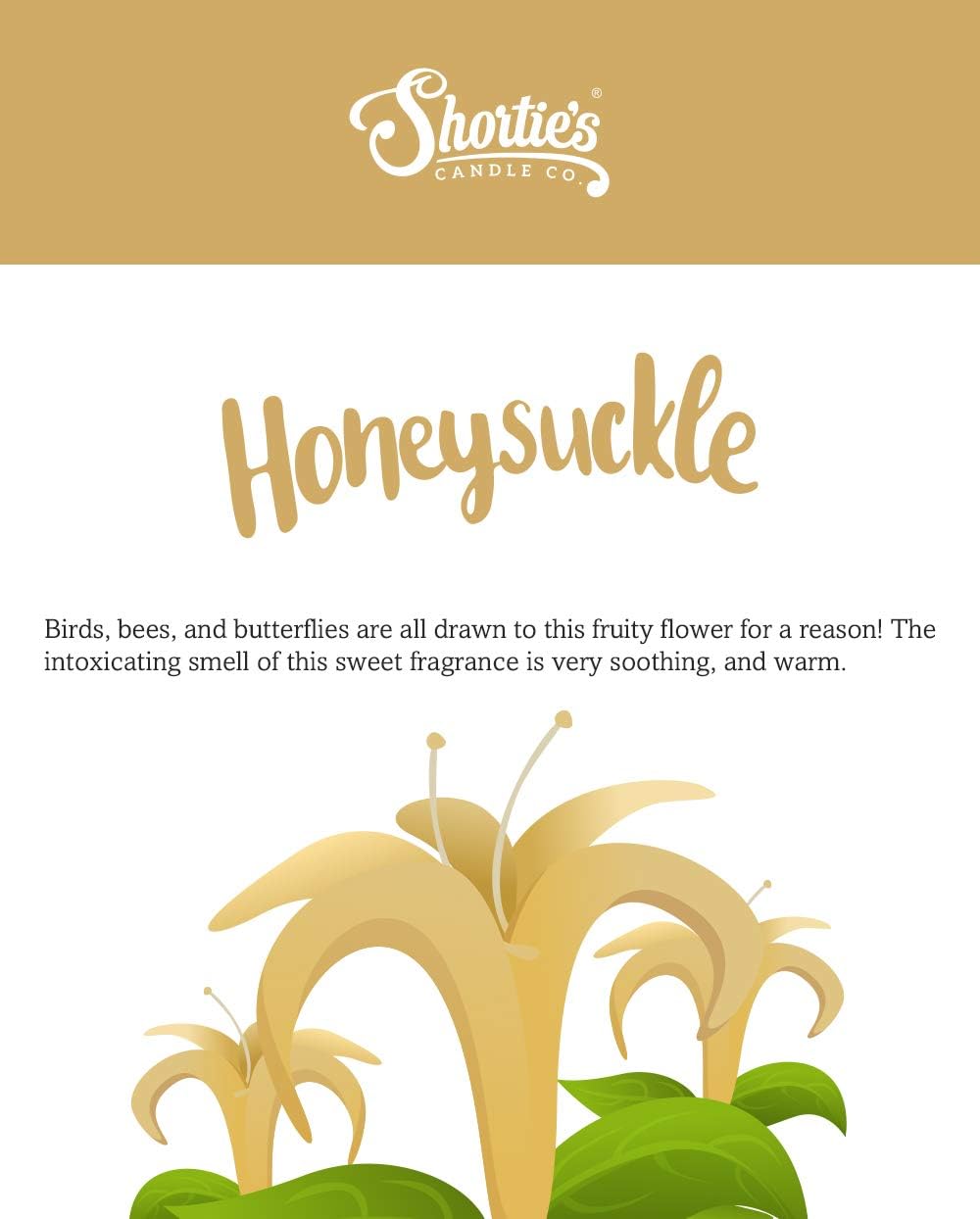 Shortie's Candle Company Pure Honeysuckle Premium Wax Melts 4 Pack - 12 Oz., Strong & Long Lasting, Non-Toxic - Made with Essential & Natural Oils - Formula 117