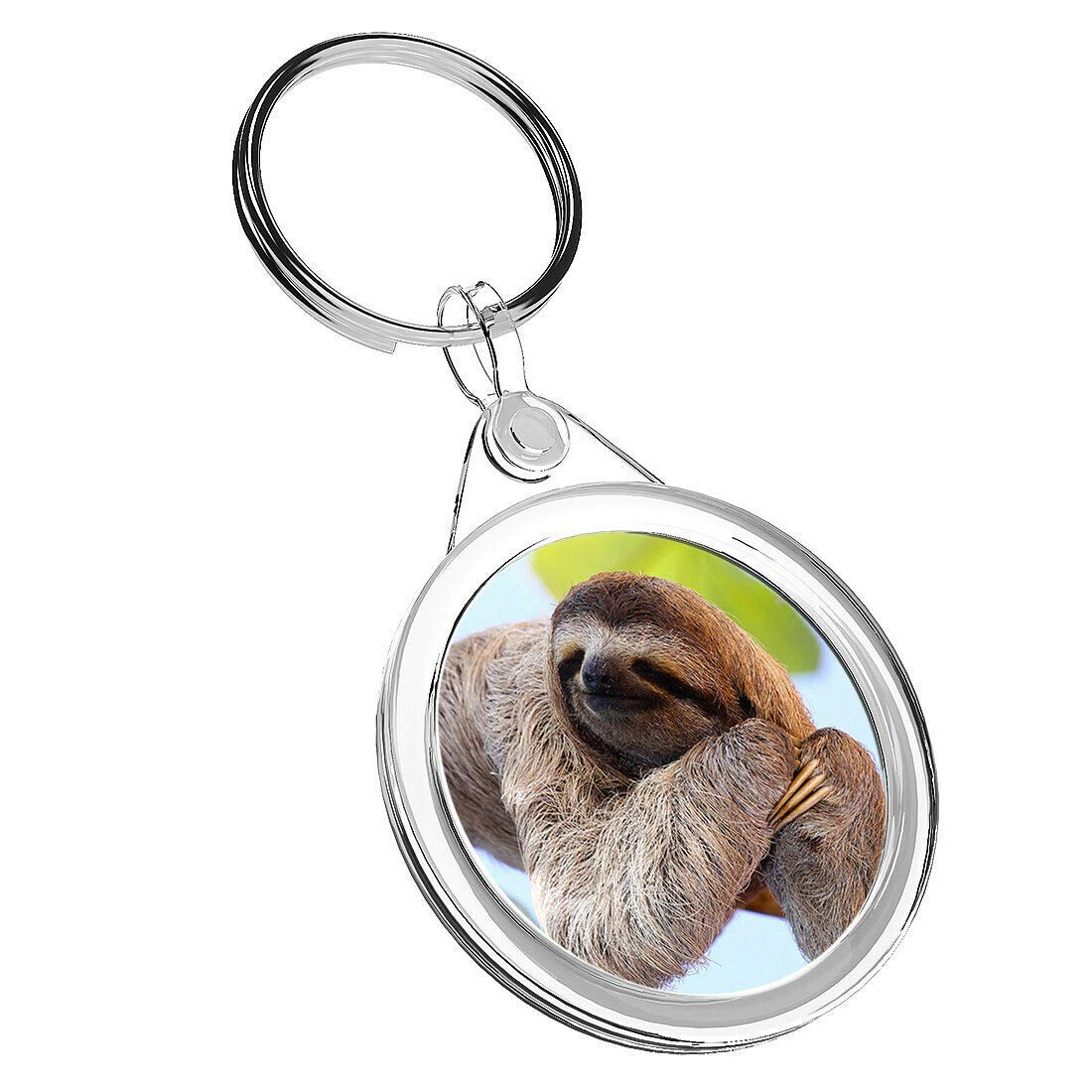Destination Vinyl Keyrings Unisex Kids Multi 1 X Funny Lazy Sloth Wild Nature - Keyring Ir02 Mum Dad Kids Birthday #8487