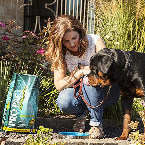 bayside select dog food