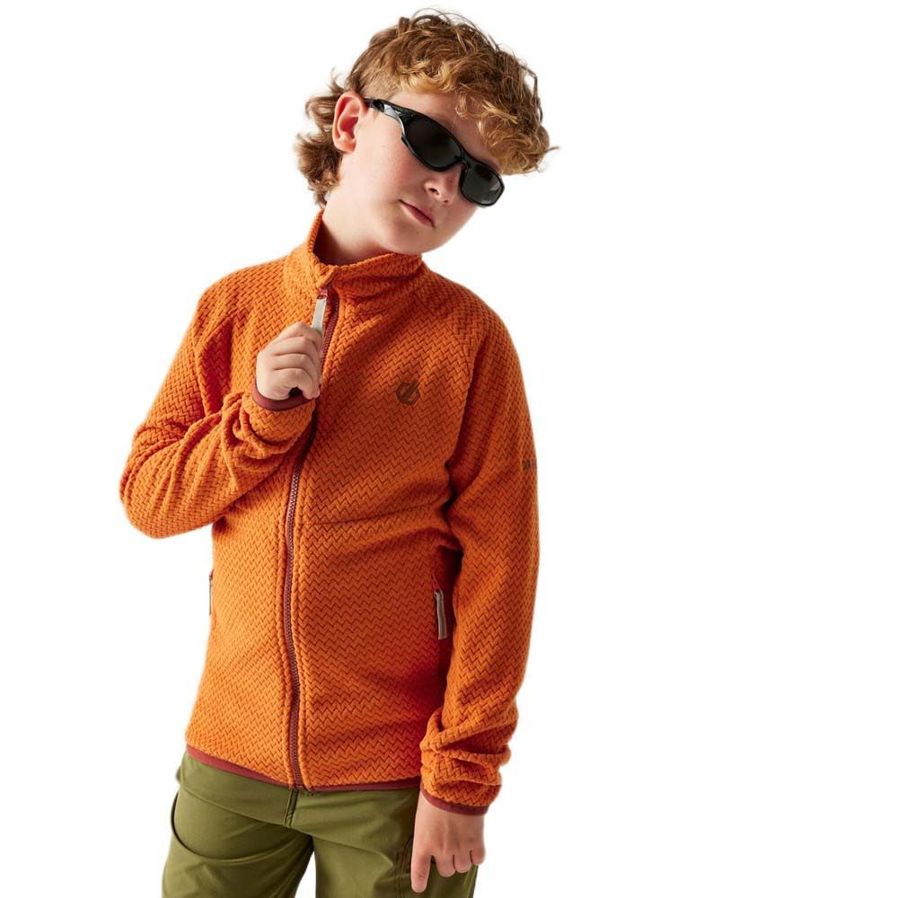 Dare2b Unisex Kids' Switch Out Walking Midlayer, Everyday Thermal Hiking Fleece