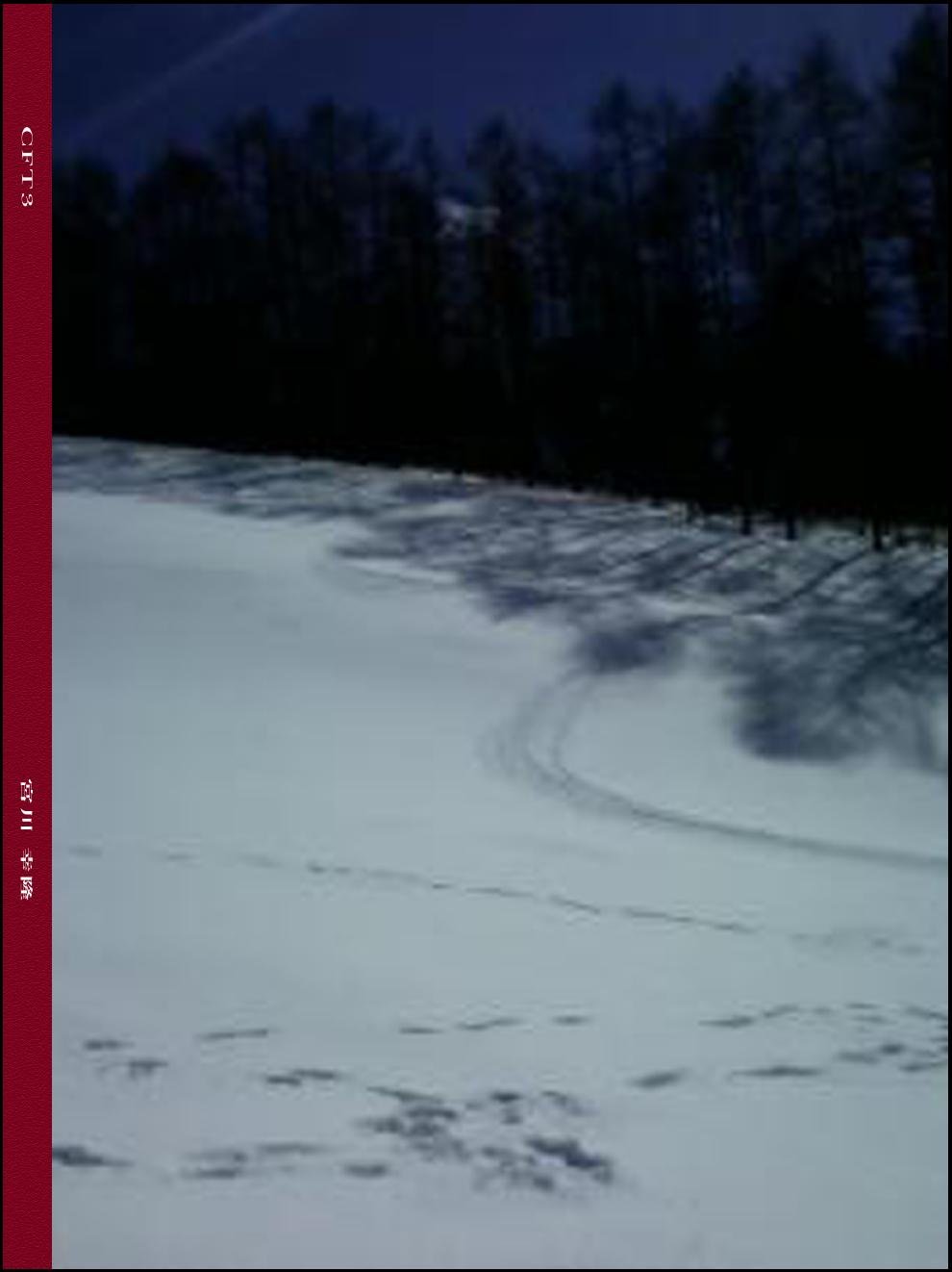 Amazon Complex Function Theory 3 Japanese Edition Ebook