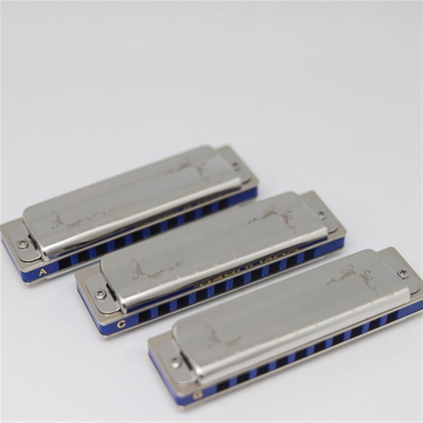 Harmonica Diatonique Harmonica diatonique 10 trous Paquet trois tons Instrument de blues Adulte Débutant