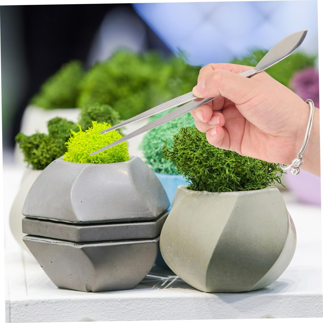 Happyyami 10piezas De Jardinería De Acero Inoxidable Herramientas Multifuncionales Para Bonsái y Suculentas Incluye Pinza Recta y Curvada Para Cultivos Detallados y Mantenimiento De