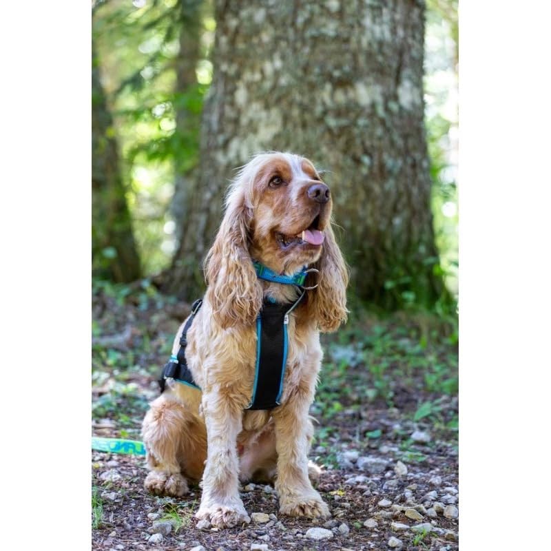 inlandsis Canicross Geschirr für kleine Hunde, Open-Back