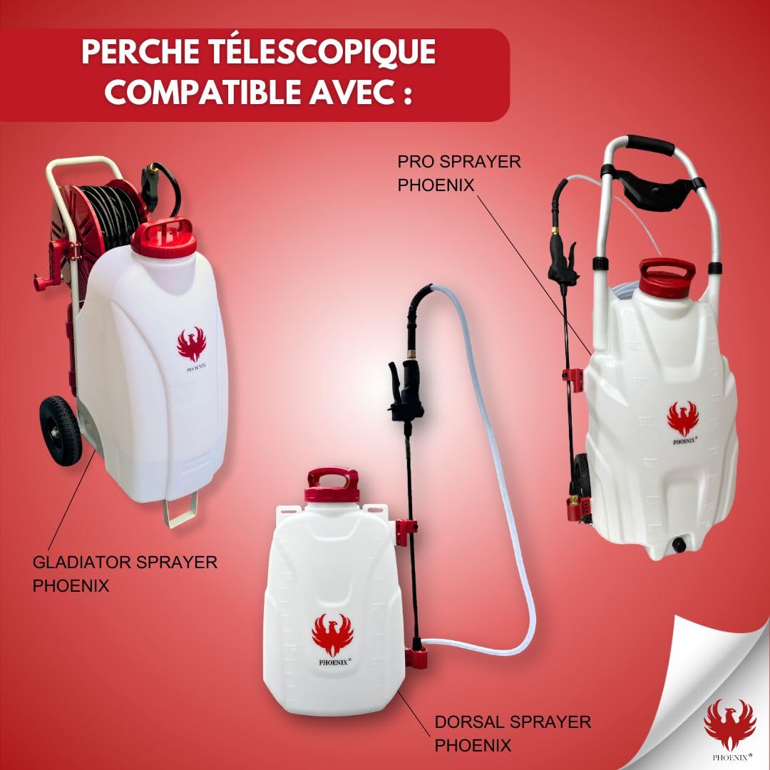 Phoenix - Kit de percha telescópica de 6 m para limpieza de techos, paneles solares y persianas - Herramienta versátil con cepillo, manguera integrada y accesorios de agua - compatible con