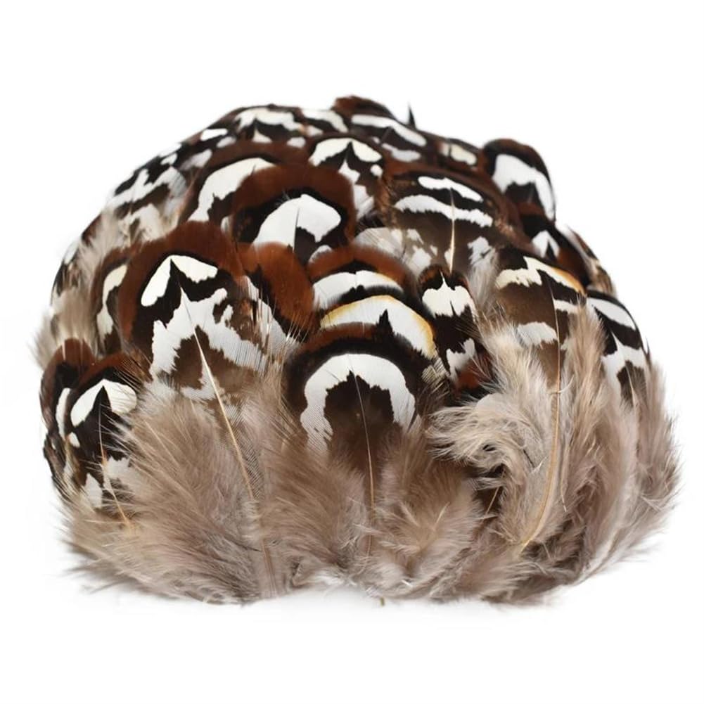 Natural Pheasant Feathers, Natural Pheasant Feathers 3-7cm DIY Jewelry Making Craft Pack of 20(200 Piece)