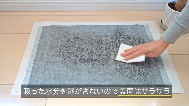 Amazon.co.jp: Mofutto（モフット） ペットの消臭名人 【獣医推薦】 超