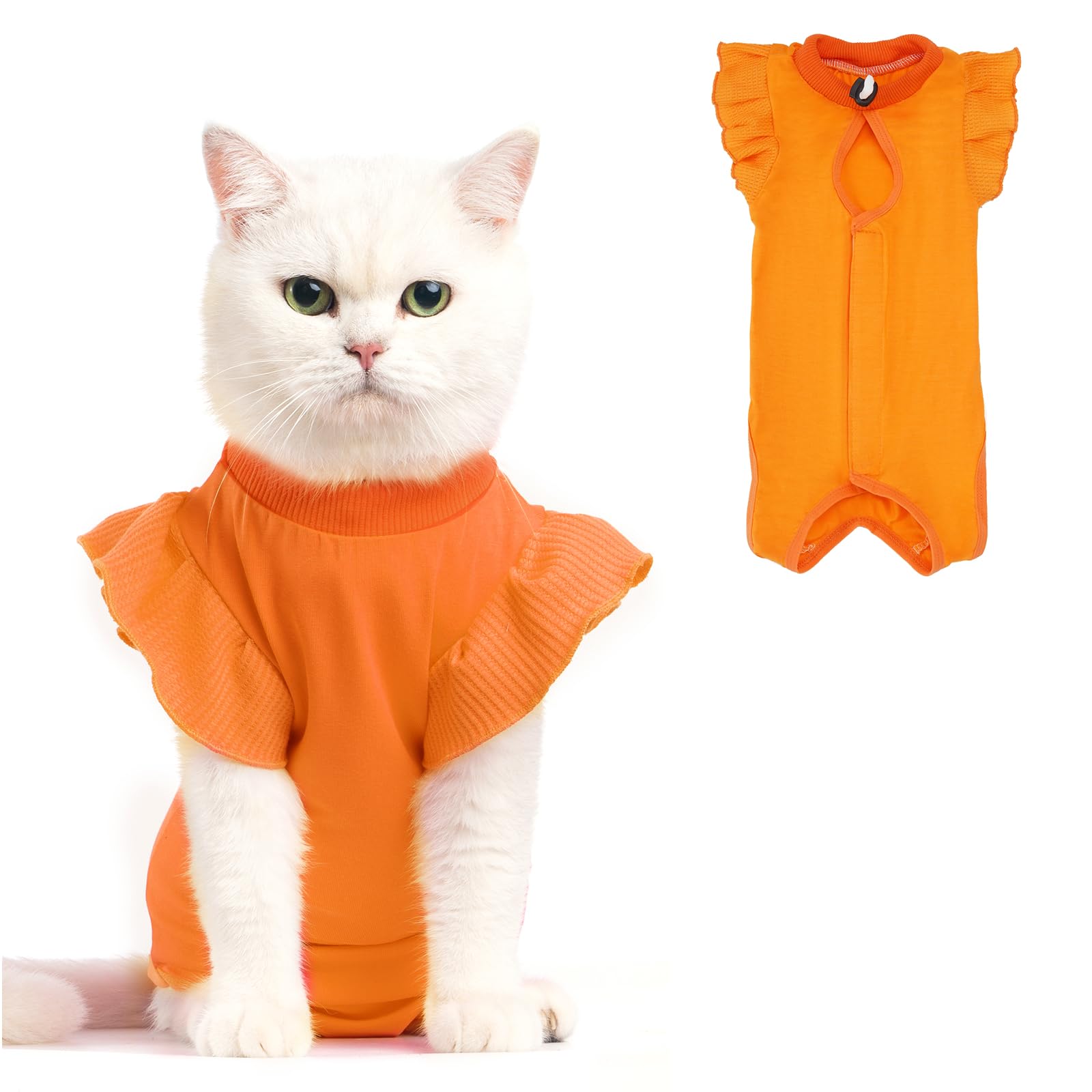 Avont Cat Recovery Suit - Post-Surgery Onesie for Cats, Alternative to Cone of Shame, Protective Spay Suit for Female Kitten, Ideal for Healing and Skin Conditions -Orange(M+)