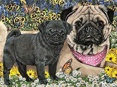 Diamond Painting Set Graue Flügel - 5D Diamant Malerei 30x60cm