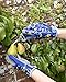 Royal Horticultural Society Burgon & Ball British Meadow Flower and Fruit Snip Garden Snips Pruners