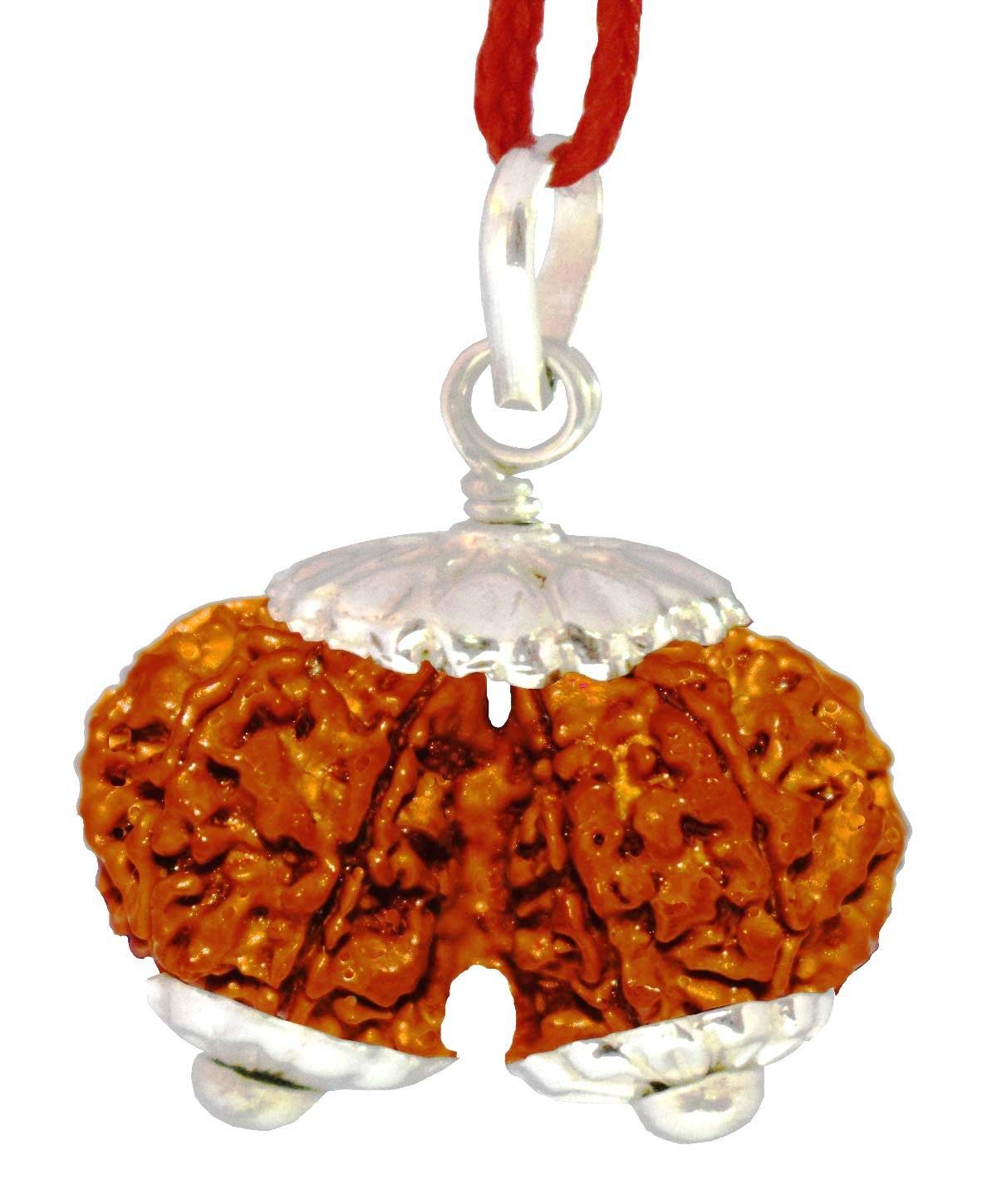 Natural & Original Gauri Shankar Rudraksha Pendant with Lab Certificate For Men & Women (Indonesian Small Bead) (1 Pc)-image-21