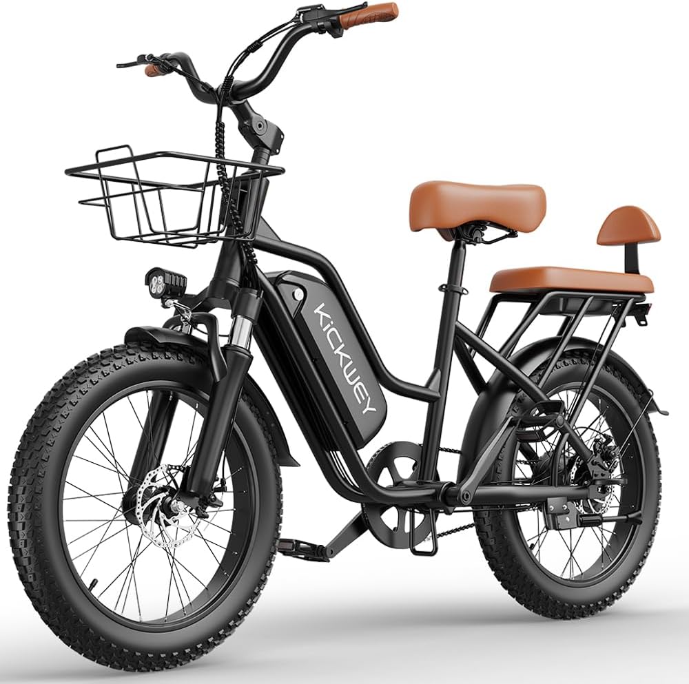 Electric Bike for Adults, 48V 20Ah Removable Battery, 50-60 Miles Range, 20"×3.0 Fat Tires, Front Suspension, Dual Mechanical Disc Brakes, 2-Seater Commuter Ebike