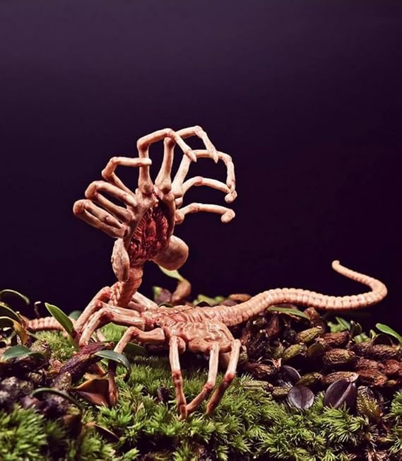 1/6 Scale Figures Accessory,2pcs Plastic Facehugger Model Scene Props for 12incn Action Figure