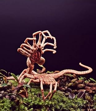 1/6 Scale Figures Accessory,2pcs Plastic Facehugger Model Scene Props for 12incn Action Figure