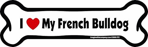 Hueso de plástico con imán Imagine This, 2 x 7in, FRENCH BULLDOG