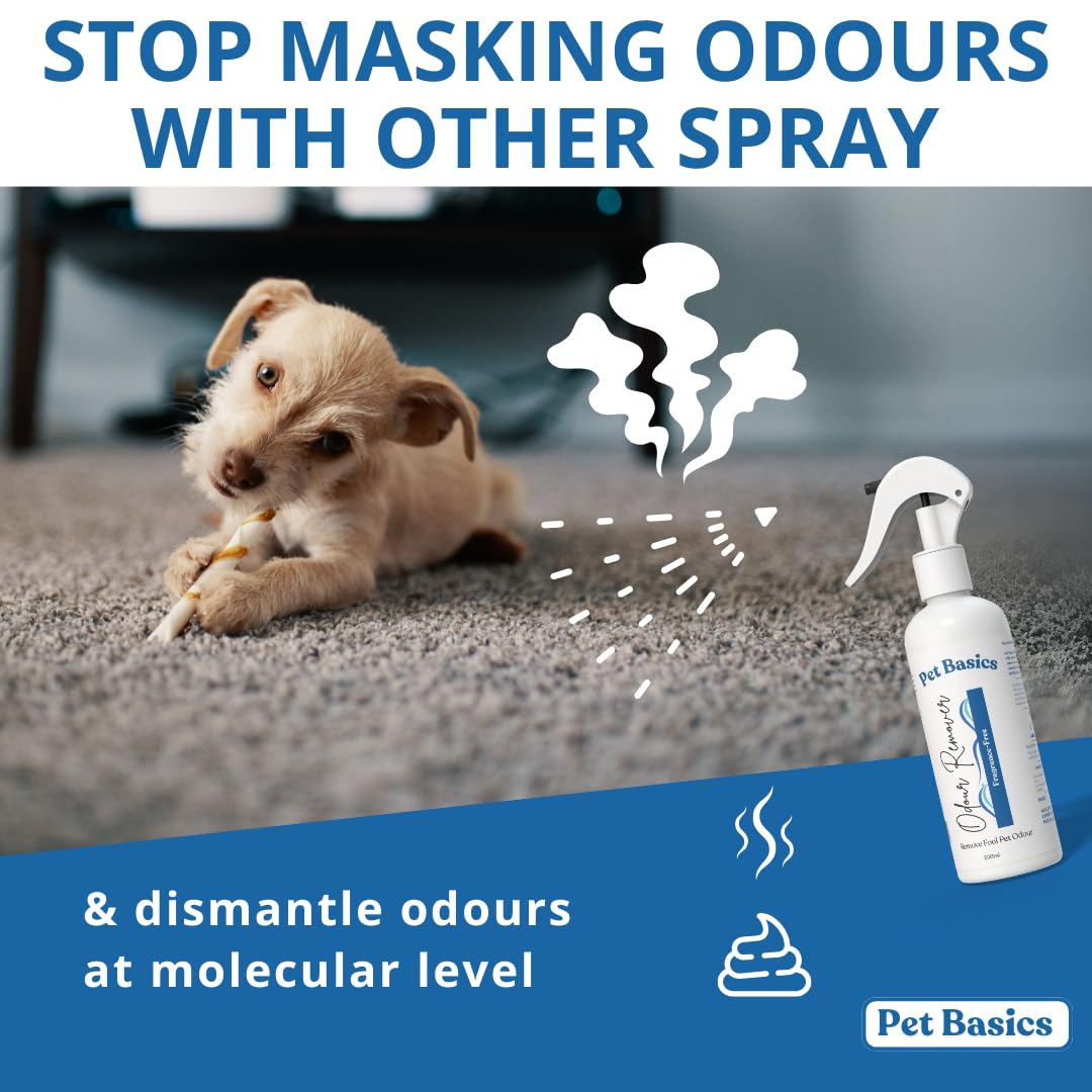 Pet Basics Fragrance Free Odour Remover (200ml) | Gentle Water-Based Formula | Safe for Pets & Surfaces | Non-Toxic | Easy to Use 3