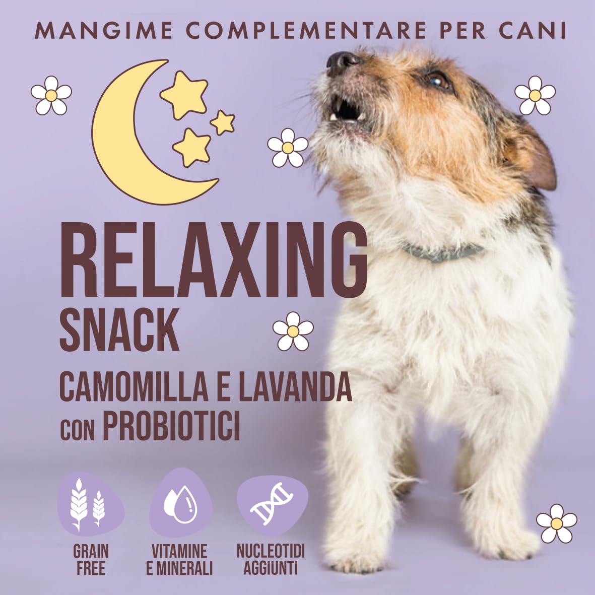 Marty & Co - Relax Snack - Biscotti - per Rilassare Il Cane e Gatto Sotto Stress - Con Camomilla, Lavanda, Probiotici, Nucleotidi, Vitamine e Minerali - Grain Free - gr 80