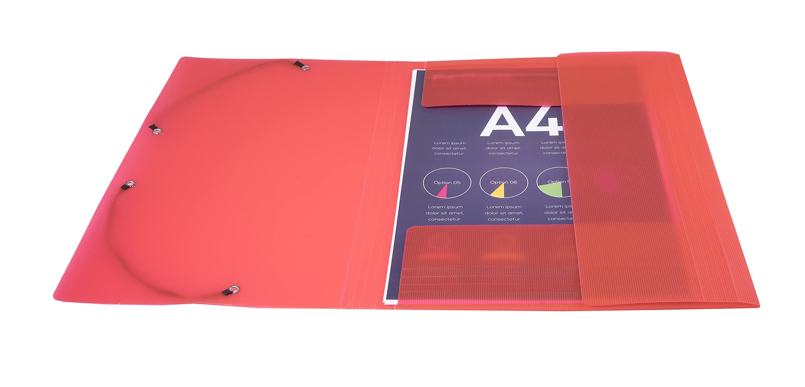 Exacompta 55877SE Packung (mit 10 Sammelmappen Linicolor, mit 3 Klappen, Gummizug, aus festem PP, DIN A4, 21 x 29,7 cm) 10er Pack farbig sortiert