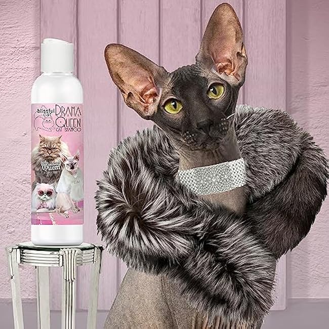 The Blissful Dog Drama Queen Cat Shampoo, 8-Ounce-3HRfni2N