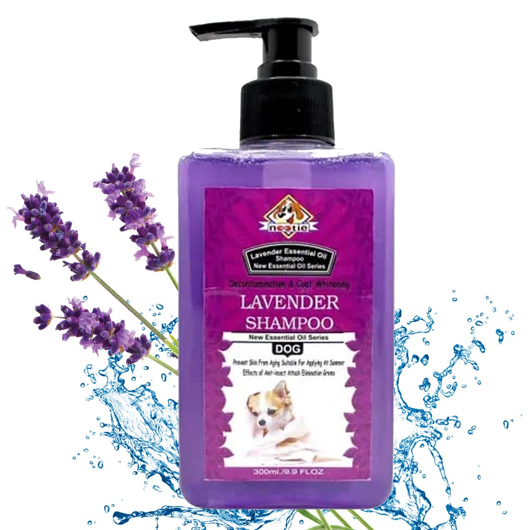 See full amazon price history chart for NOOTIE Lavender Shampoo for Dog & Puppies (300ML) (Lavender) NOOTIE Lavender Shampoo for Dog & Puppies (300ML) (Lavender) (B0BYP52PL7) Amazon Price History, Amazon Price Tracker