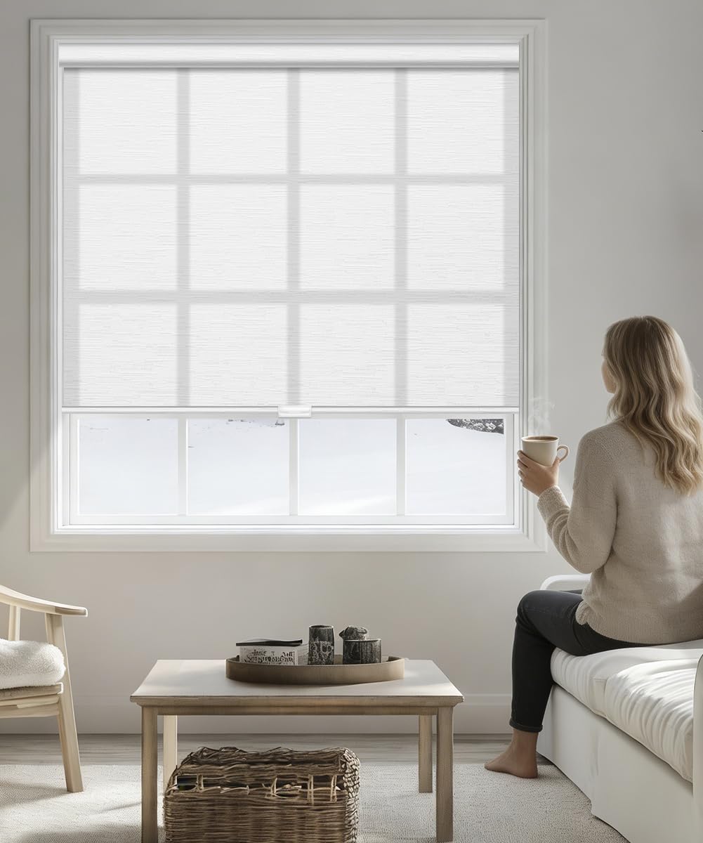 Light Filtering Cordless Roller Shade, Spring Free-Stop Pull-Down Window Blind, Custom Size, Translucent Privacy Shades for Home Office (Texture Beige)