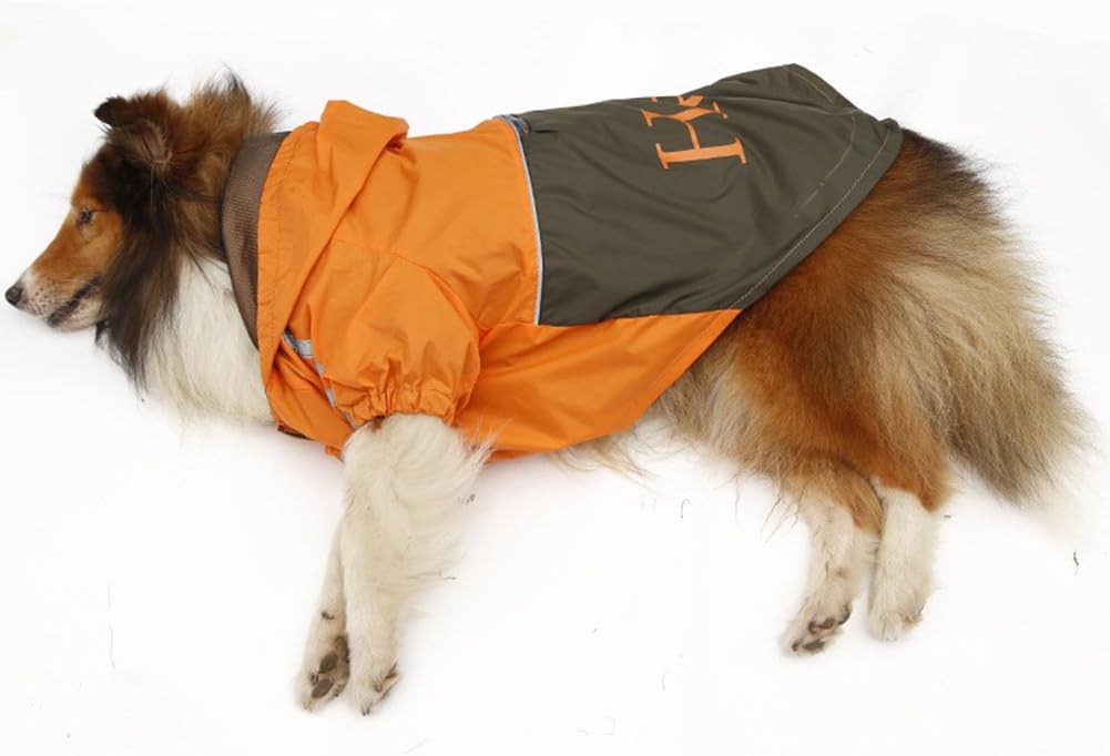 springer spaniel raincoat