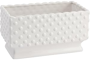Rectangle Succulent Planter: Creative Co-Op White Hobnail Ceramic
