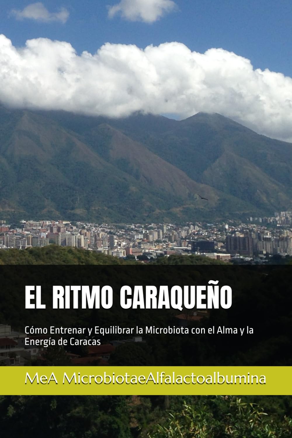 EL RITMO CARAQUEÑO: Cómo Entrenar y Equilibrar la Microbiota con el Alma y la Energía de Caracas