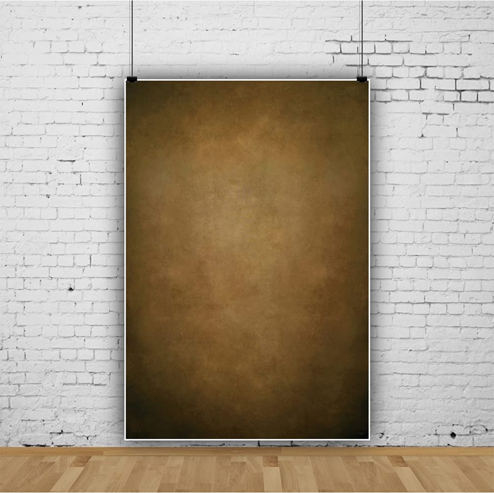 Fotohintergrund Mit Farbverlauf 1,8 X 2,4 M – Vintage-Design Für Neugeborenen-, Baby- & Portraitfotografie