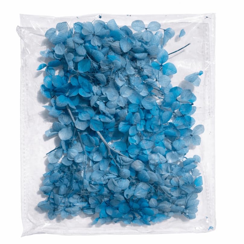Hydrangea Dried Flower Pack, Blue-image-24