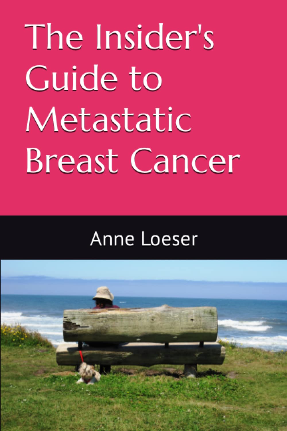 The Insider's Guide to Metastatic Breast Cancer: A Summary of the Disease and its Treatments