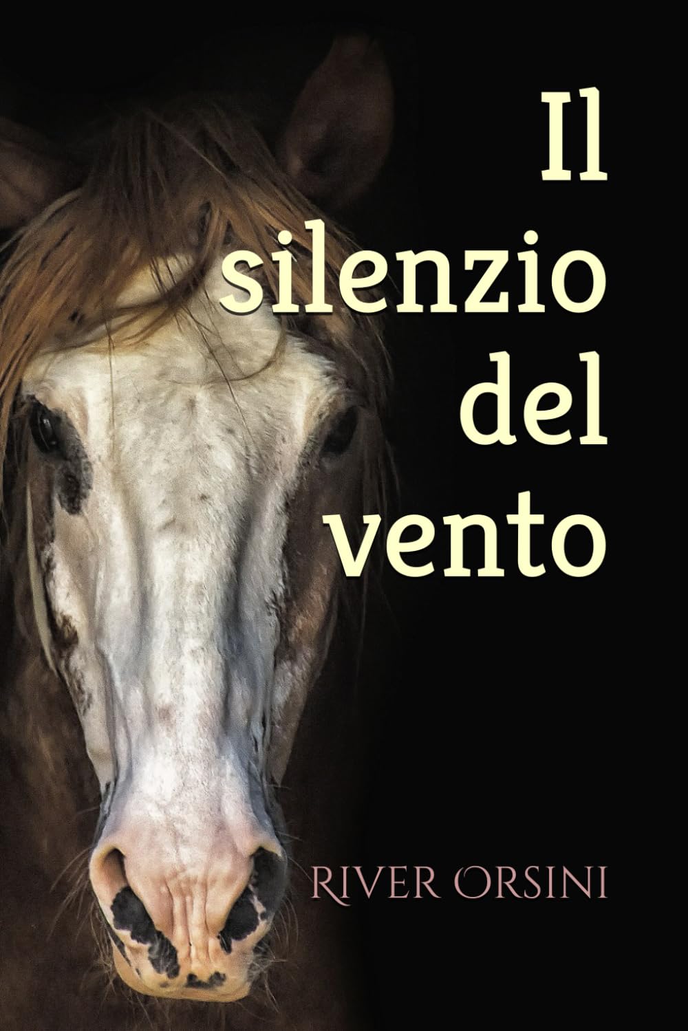 Il silenzio del vento