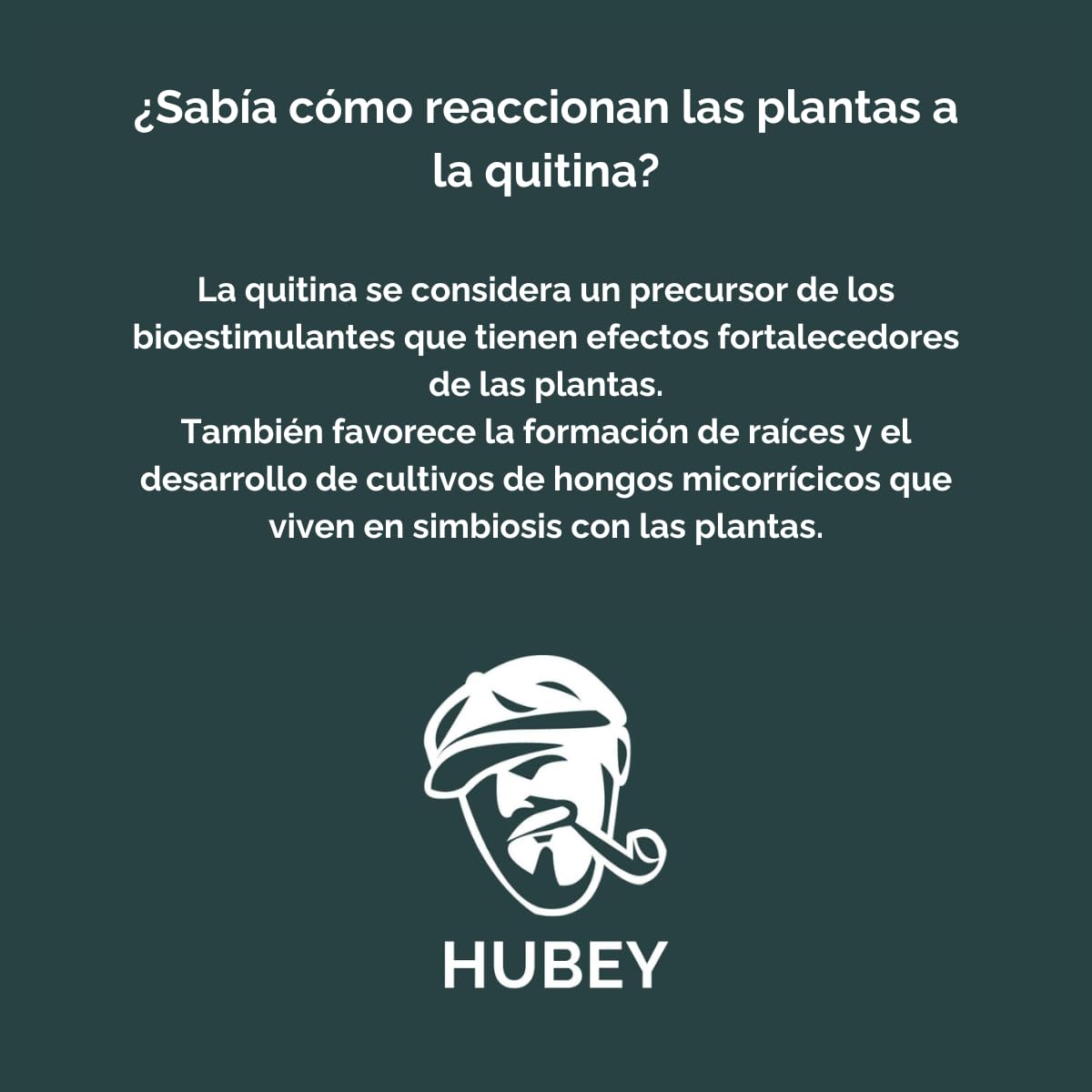 Estiércol de lombriz Hubey Excrementos de insectos, abono natural orgánico Abono universal y acondicionador del suelo (5 Kg)