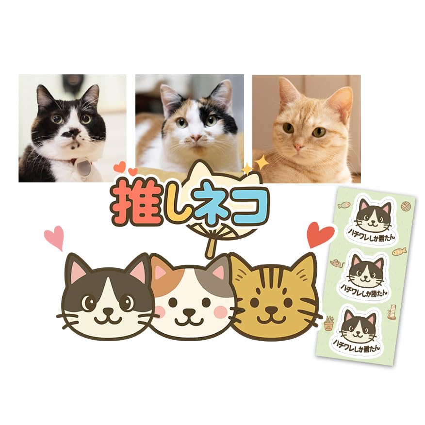 Amazon.co.jp: 推しネコ ハチワレ 家に猫がいます マグネット
