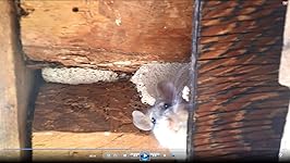 Review Image by Elias Bomar Elias Bomar