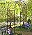 Plow & Hearth Arch Metal Outdoor Garden Arbor | Tree of Life | 84" H x 53" Wx 23" D | Black | Trellis Lattice for Plants | Wedding | Outdoor Patio Décor