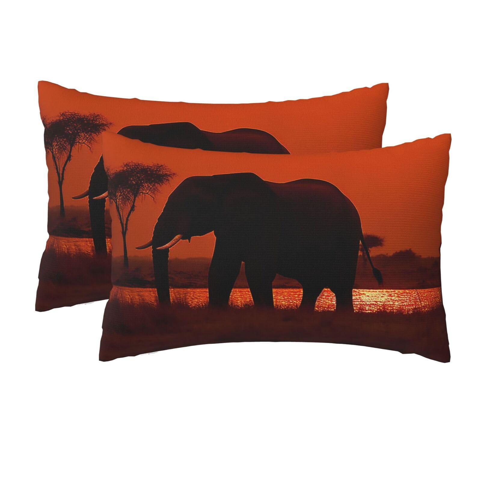2 Pack Queen Pillow Cases with Hidden Zipper, Soft Breathable Pillow Covers for Hair and Skin, Sunset African Elephant Pillowcases 20"x30" Bed Pillow Protectors Cover for Sleeping Gifts