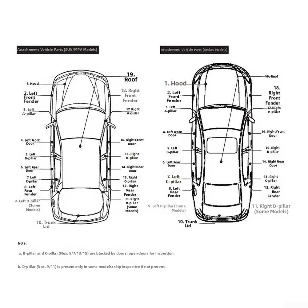GT260PRO - Medidor digital de espesor de capa, para pruebas de pintura en automóviles e industriales, medidor de pintura para coche con doble principio de detección automática, rango de 0-3000 µm