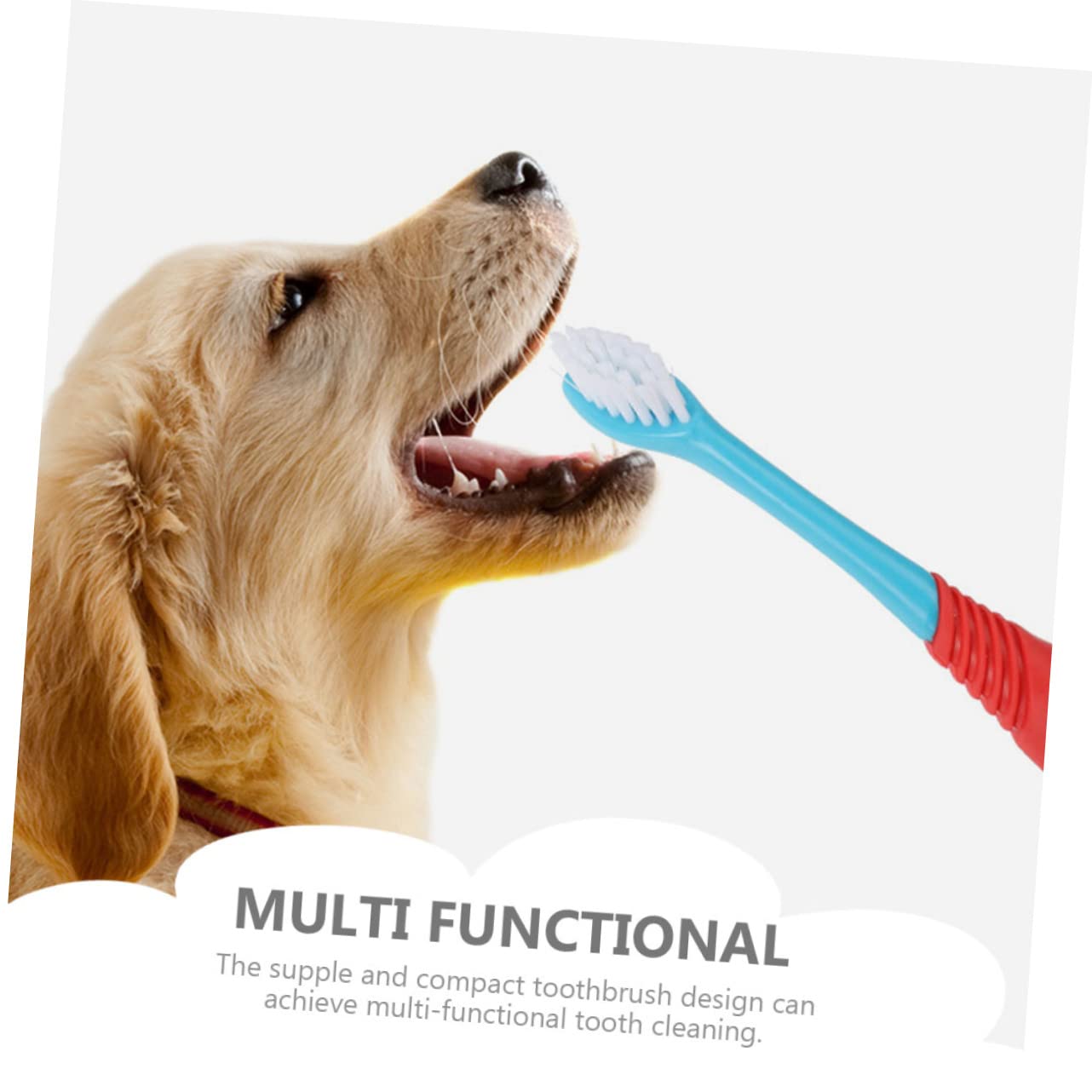 minkissy Lot de 20 brosses à dents en TPE pour animal domestique