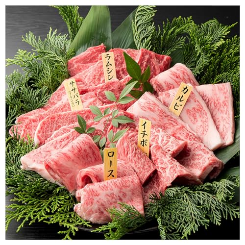 ̓ Yјa ēZbg XI5 1kg 4`5l D ϔ Mtg p uⓀ