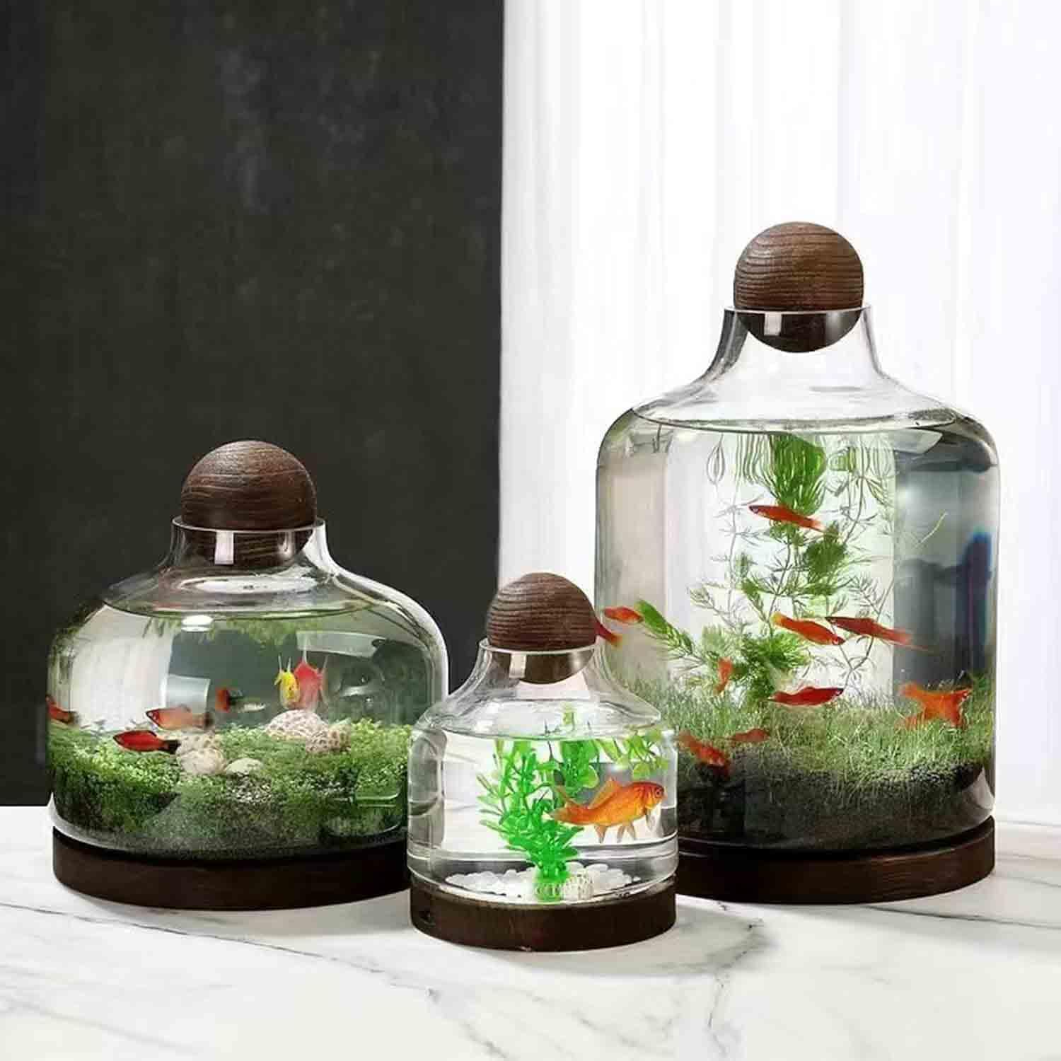 Ecological Fish Bottle Magical Glass Aquarium Micro Ecosphere Transparent Fish Tank Fish Bowel Ecological Teaching for Kids Students, D