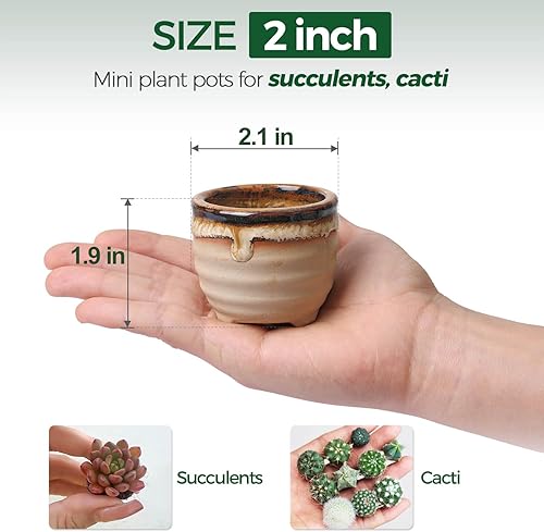 Miniatura 3 de T4U Juego de 3 macetas para suculentas con bandeja de bambú, macetas de cerámica de 3 pulgadas para plantas, maceta de estilo japonés, regalo para