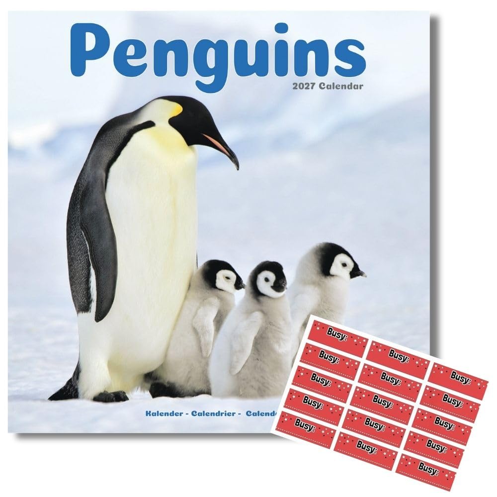 Avonside Penguins 2027 Calendar with Organisational Stickers, 16 Month Square Wall Calendar (Sept 2026 - Dec 2027), UK Planner with Penguins, For Animal Lovers, Home or Office, 11.6 x 11.6 in