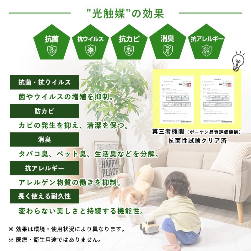 Amazon｜三栄コーポレーション 人工観葉植物 光触媒 フェイクグリーン