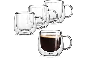 Double Insulated Glass Coffee Mugs Set of 4