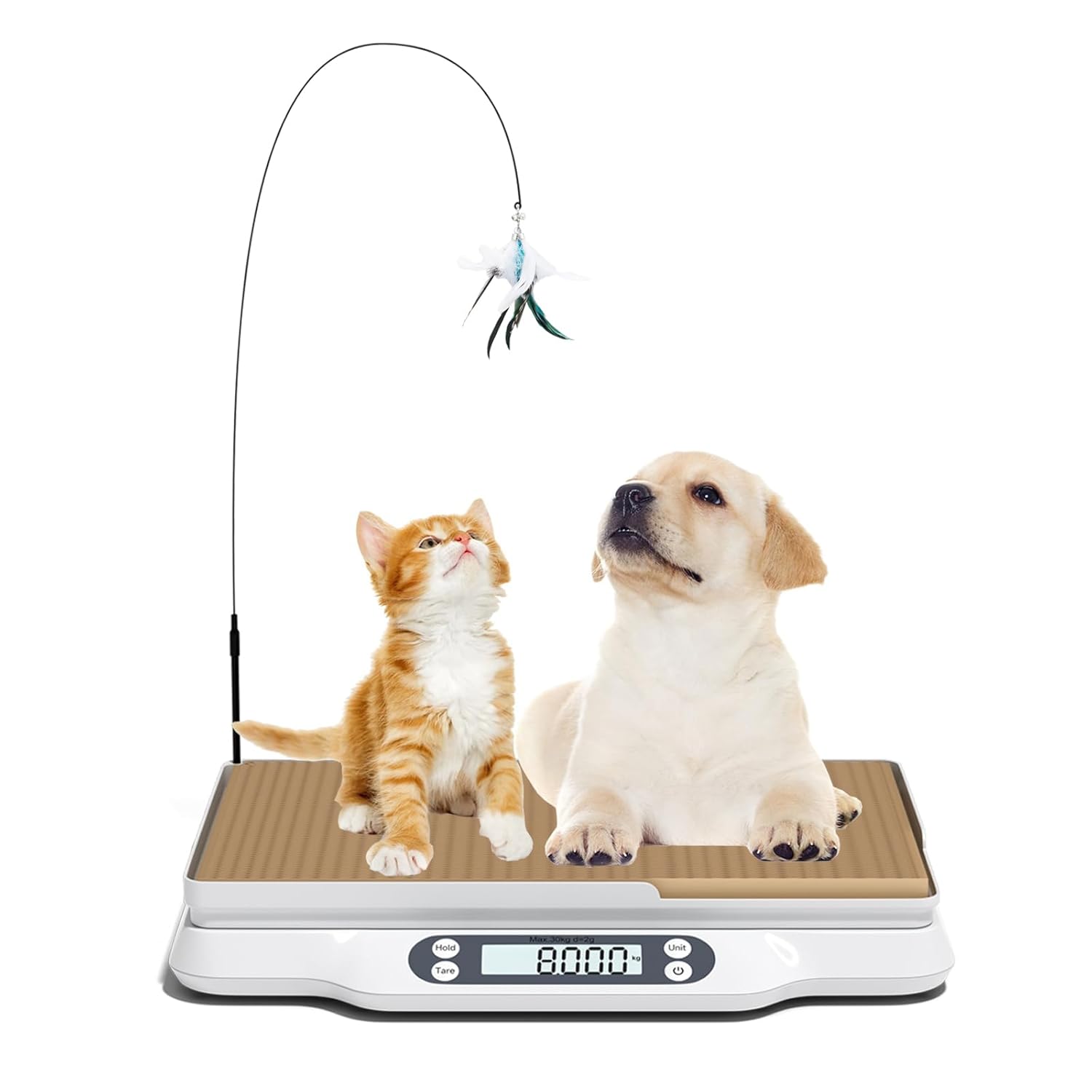 Digital Pet Scale for Small Animal, Portable LCD Electronic Whelping Scale with Cat Scratching Board and Funny Cat Toys(Max. 66 lbs), Multifunction Weight Scale for Kitchen/Lizard/Puppy/Kitten