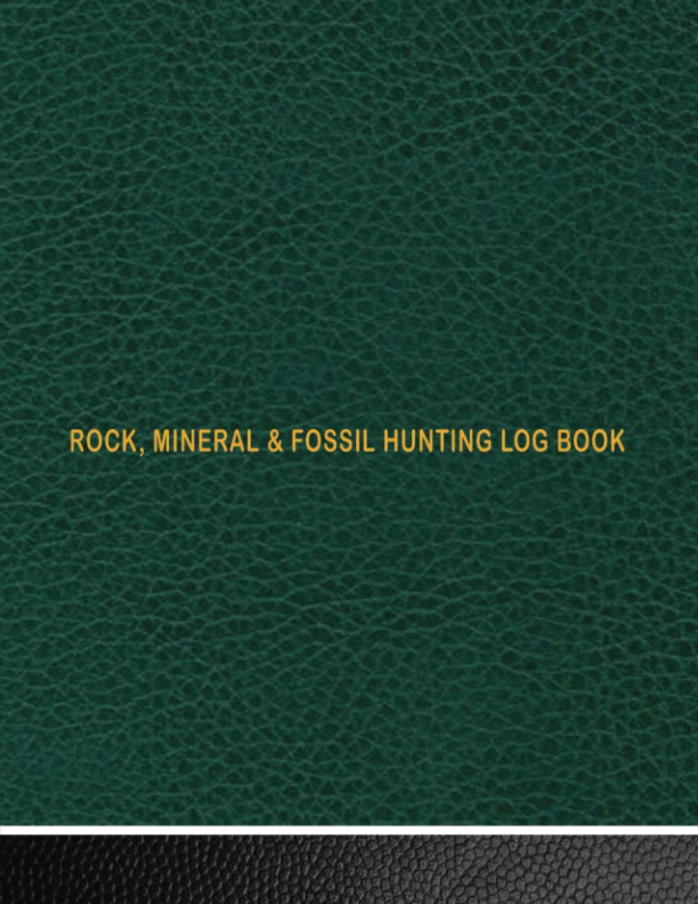 Rock Mineral & Fossil Hunting Log Book: A Journal & Fossil & Mineral Hunters And Collectors | Keep Track of Your Collections, Explorations | Amateur ... and Archeologist Logbook For Kids & Adults