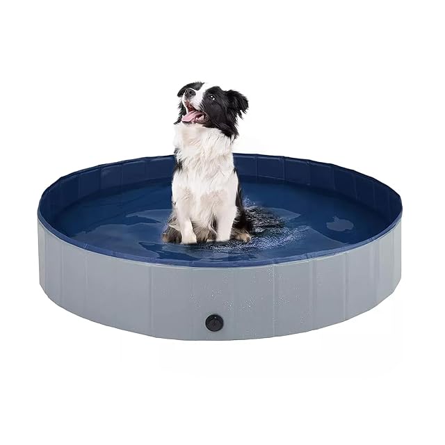 Piscina plegable para perros, 80 x 20 cm, piscina para perros grandes y pequeños