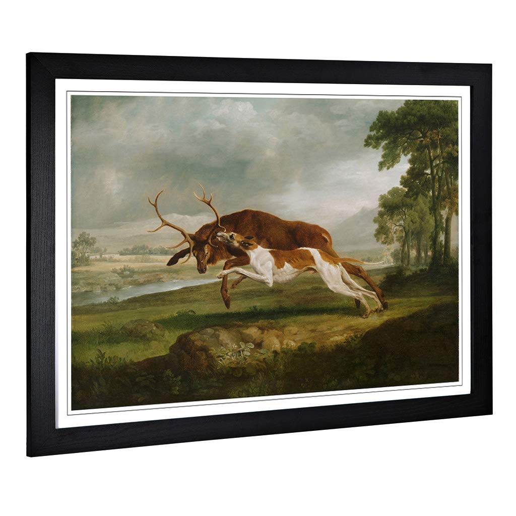 Big Box Art Framed Print of George Stubbs English Hound with a Stag Design | Wall Art Picture | Home Decor for Kitchen, Living Room, Bedroom, Hallway, Black, A2 / 24.5x18 Inch / 62x45cm